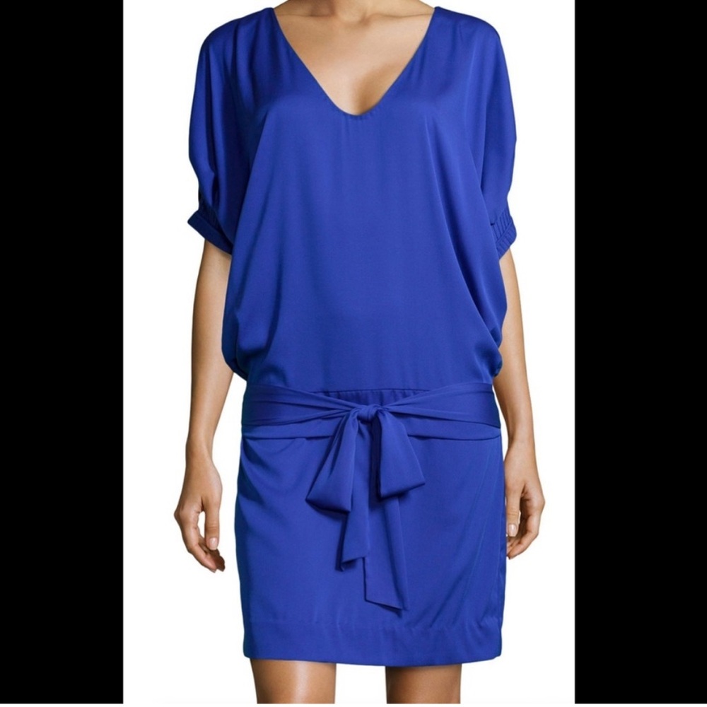 Diane Von Furstenberg Blue Mini Dress
